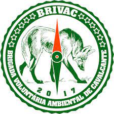 BRIVAC logo